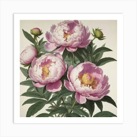 Pink Peonies flower plants painting art print Art Print