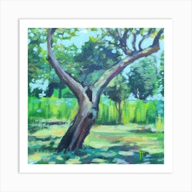 Tree In The Park Art Print