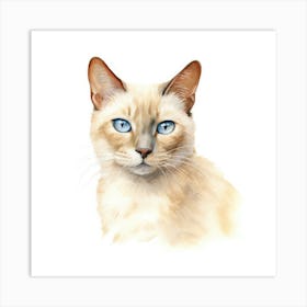 Burmese Platinum Cat Portrait Art Print