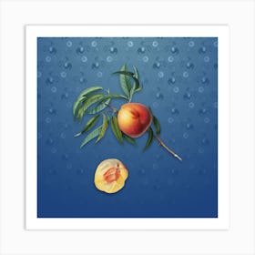 Vintage Peach Botanical on Bahama Blue Pattern n.2405 Art Print