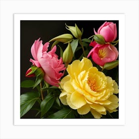 Peonies On Black Background Art Print