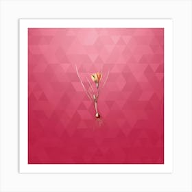 Vintage Ixia Filifolia Botanical in Gold on Viva Magenta n.0376 Art Print