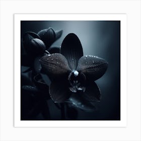 Dark Orchids Art Print