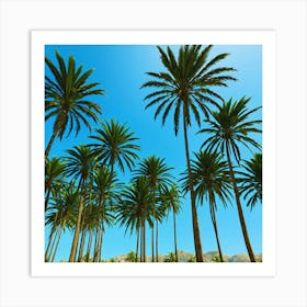 Palm Trees 2 Art Print