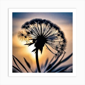 Sunset Dandelion 7 Art Print