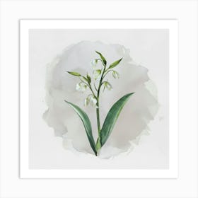 Lily Of The Valley Art Print