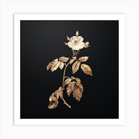 Gold Botanical Big Leaved Climbing Rose on Wrought Iron Black n.2324 Art Print