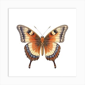 Butterfly 22 Art Print