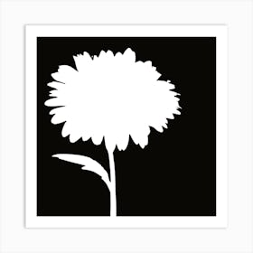 Chrysanthemum 1 Art Print