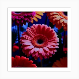 Gerberas Art Print