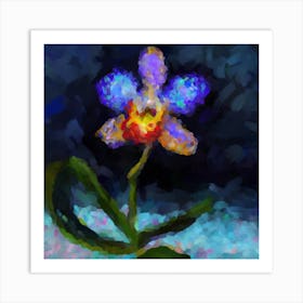 Night orchid Art Print