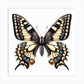 Butterfly of Papilio machaon 3 Art Print