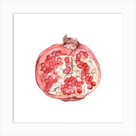 Pomegranate Square Art Print