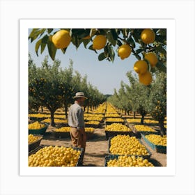 Man In Lemon Orchard Art Print