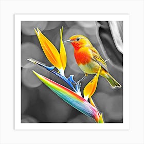 Bird Of Paradise Art Print