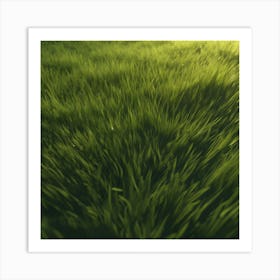 Green Grass 35 Art Print