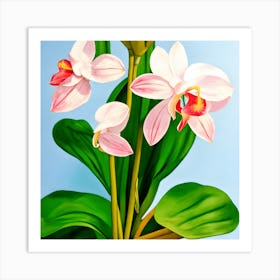 Orchids Art Print