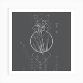 Vintage Blackberry Lily Botanical with Line Motif and Dot Pattern in Ghost Gray n.0263 Art Print