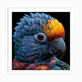 Colorful Parrot 4 Art Print