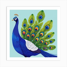 Peacock 1 Art Print