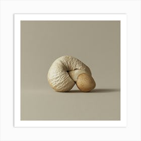 Nut Embryo Art Print