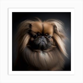 Pekingese Portrait Art Print