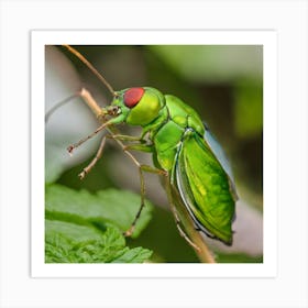 Green Leaf Beetle 1 Art Print