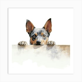 Australian Cattle Dog 4 Art Print