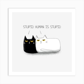 Black and White Cats On A white Background Art Print