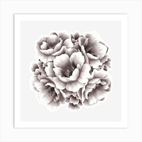 Black And White Flowers Art Print