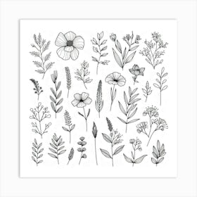 Hand Drawn Sketch Of Flowers Art Print