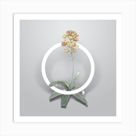 Vintage Sun Star Minimalist Flower Geometric Circle on Soft Gray n.0138 Art Print