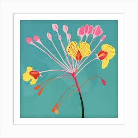 Peacock Flower 2 Square Flower Illustration Art Print