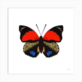Mechanical Butterfly The Agrias Amydon Tryphon On A White Background Art Print