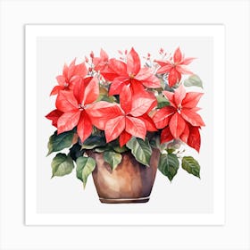 Poinsettia 3 Art Print