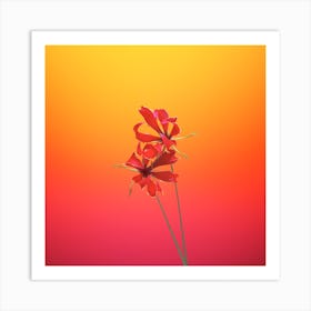 Flower 5 Art Print