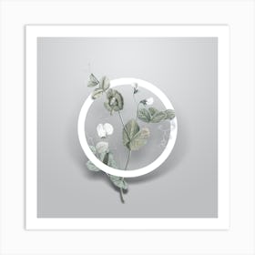 Vintage White Pea Flower Minimalist Flower Geometric Circle on Soft Gray n.0056 Art Print