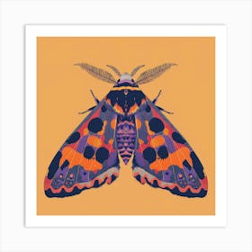 Moth illustration 7 Art Print