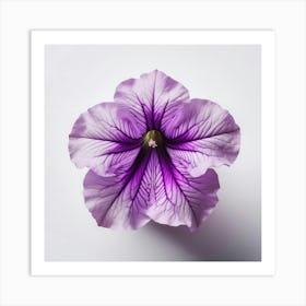 Purple Petunia Art Print