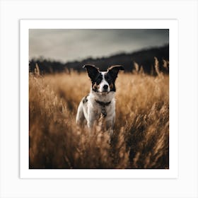 Dog In The Field 2 Art Print