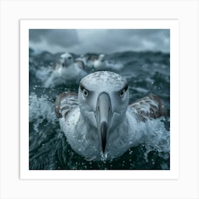 Seagulls 1 Art Print