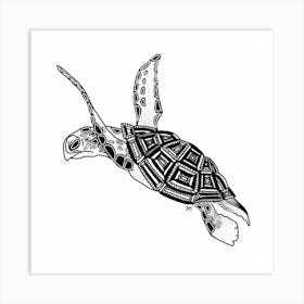 Turtle Art Print