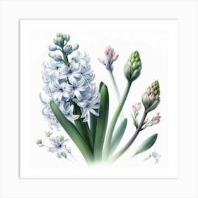 Hyacinths 2 Art Print