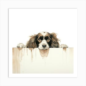 Spaniel Clumber 3 Art Print