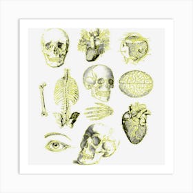 Vintage Anatomy For Medical Student Retro Halloween Skull Art Print