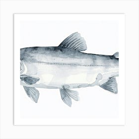 Salmon Art Print