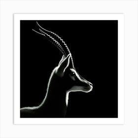 Antelope 2 Art Print