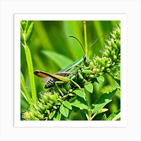 Grasshopper 79 Art Print