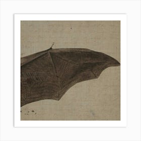 Bat C Art Print