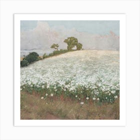 Field Of Daisies 2 Art Print